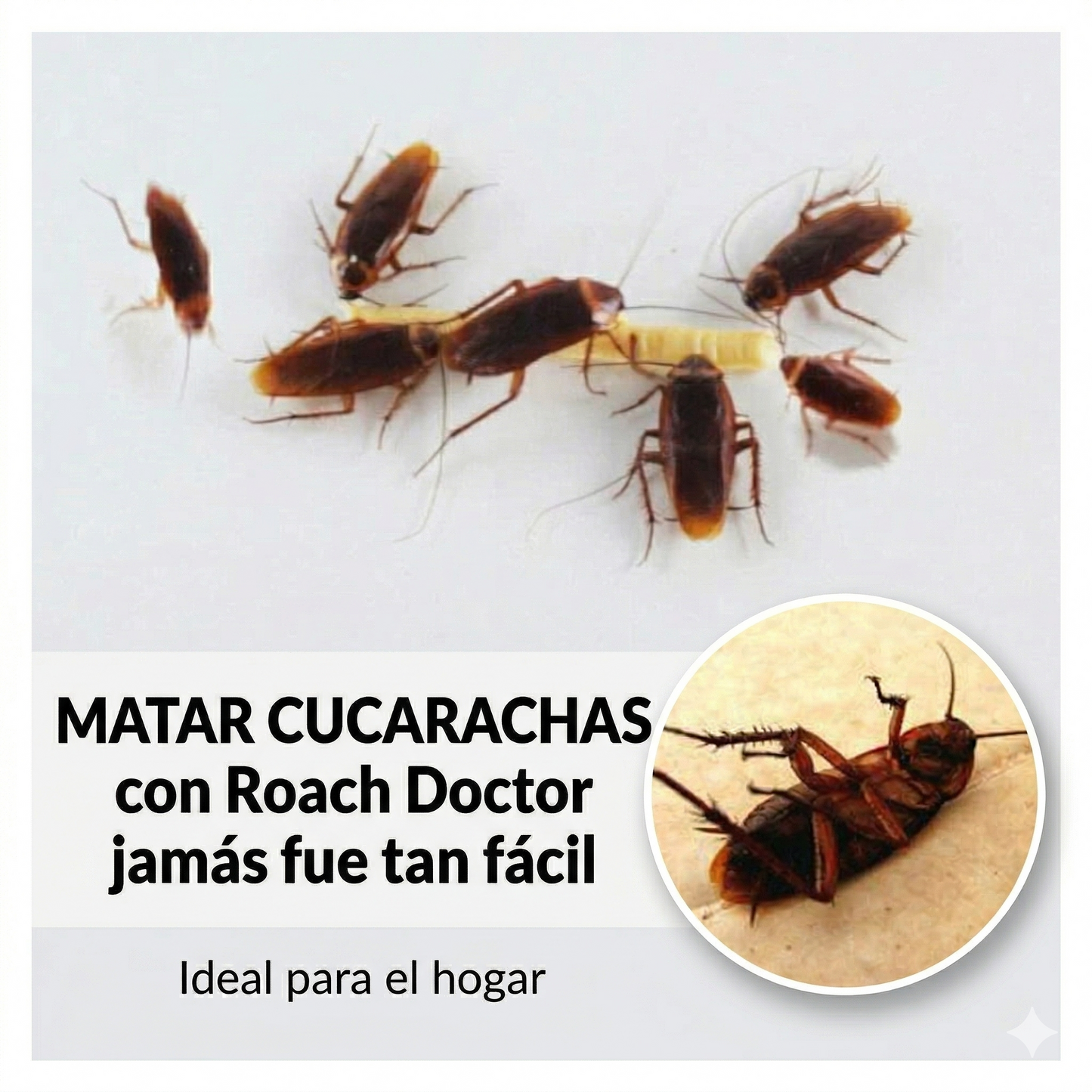 GEL MATA CUCARACHAS - ROACH DOCTOR - Elimina la Plaga desde la Raíz, Fácil y Sin Esfuerzo