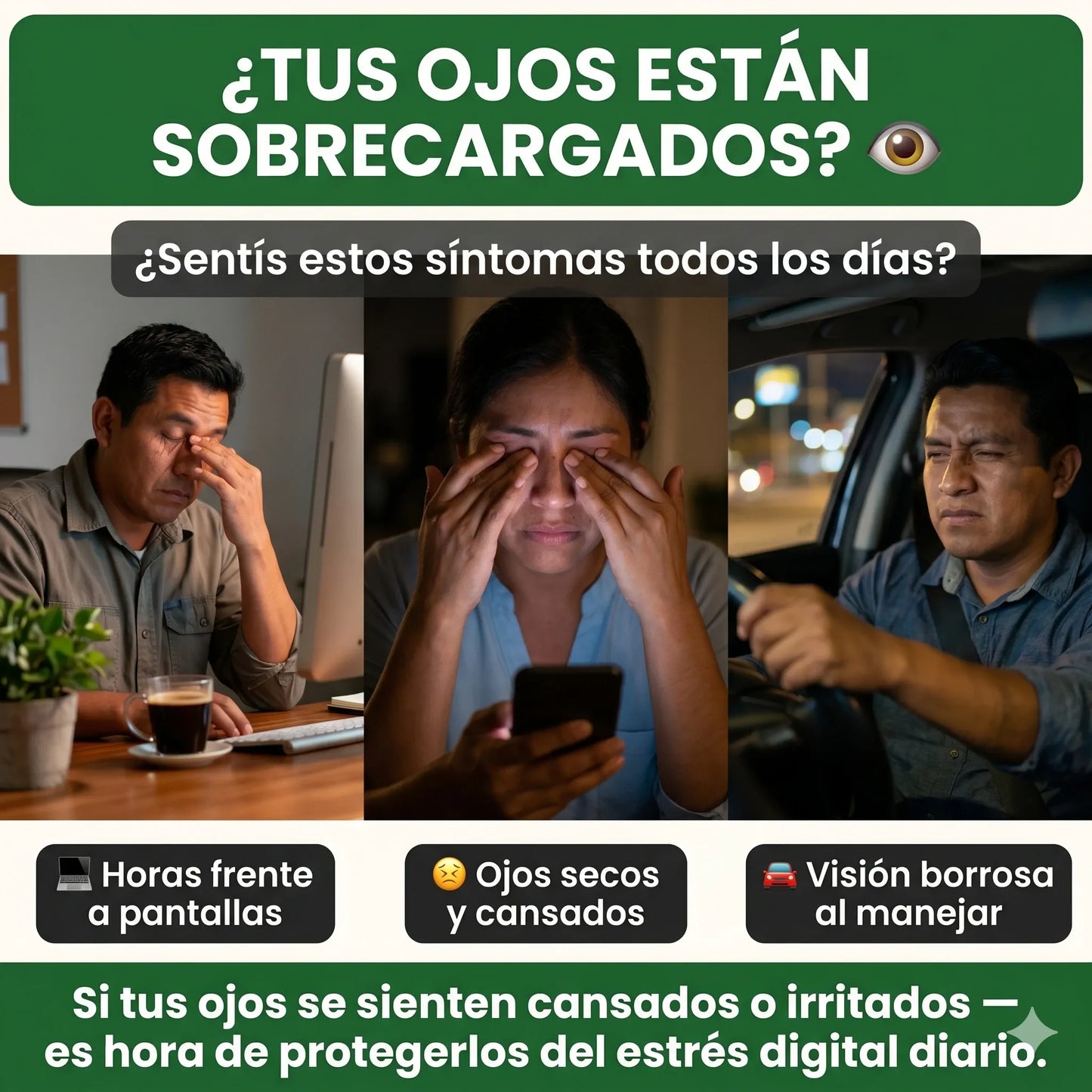 SUPLEMENTO VISUAL EVERVISION 14 EN 1 👁️ — Nutrición avanzada para el cuidado diario de tus ojos